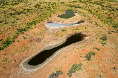 Yajula is a pajalpi (wetland) fed by a permanent jila (spring). By Benjamin Broadwith.