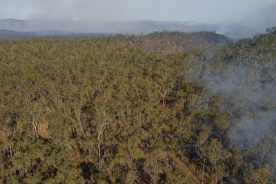Effective management of fuel loads helped protect Yourka Reserve, Jirrbal and Warrungu Country, QLD. Photo: Alistair Hartley.