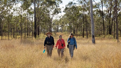Wildlife biologist Roger Martin, wildlife vet Dr Amy Shima and ecologist Christine Mauger.