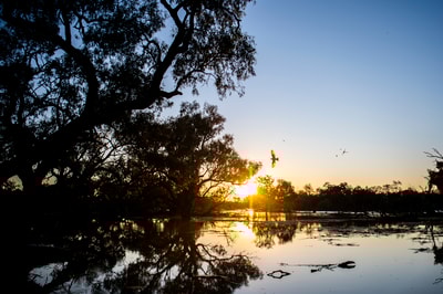 Sunset over wetlands.