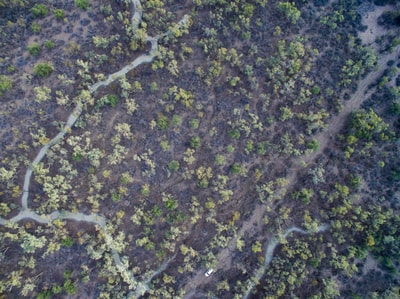 Drone footage of a fork in a creek at Naree Reserve, NSW.