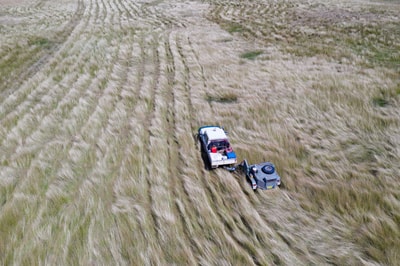 Harvesting bluegrass seeds at Carnarvon Station Reserve. Photo by Krystle Wright.