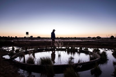 Artesian springs at Edgbaston Reserve.