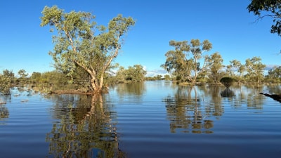 Autumn floods at Ethabuka Reserve, Wangkamadla Country, QLD. By Kyle Barton and Hélène Aubault