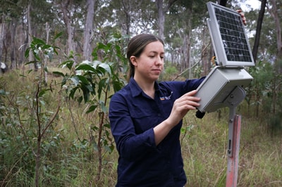 Daniella Teixeira with acoustic recorder.