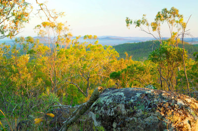 Morning vista at Yourka Reserve. Photo Wayne Lawler.