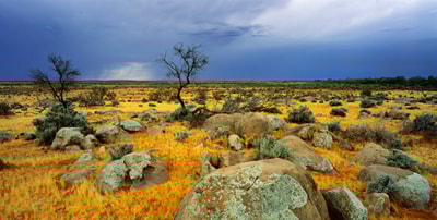 Plains under a grey sky on Boolcoomatta.