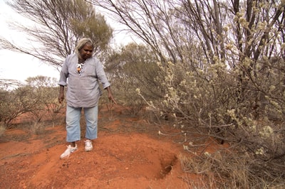 Rita Cutter points out a Bilby burrow.