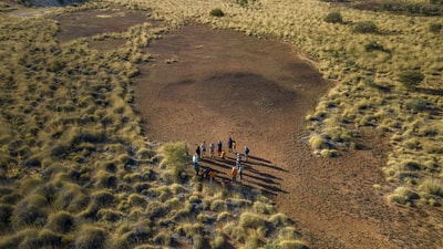 Night Parrot workshop at Pullen Pullen Reserve.