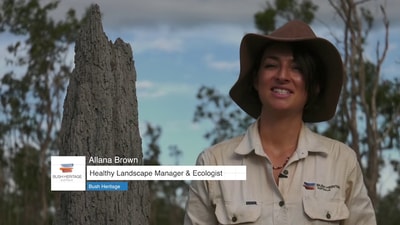 Healthy Landscape Manager and Ecologist, Allana Brown.