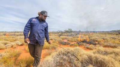 A ranger spreading fire through tussock grass with a firestick.