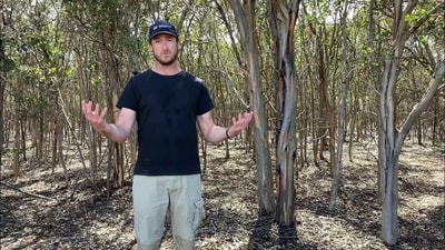 Healthy Landscape Manager Alex Hams in remnant bushland at Ediegarrup Reserve.