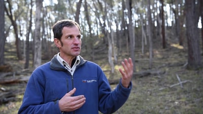 Ecologist Matt Appleby in open woodlands of Tarcutta Hills Reserve.