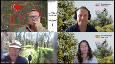 Paul Hales, Rhys Swain, Vikki Parsley and host Matthew Taylor on a webinar screen.