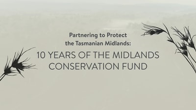 "Partnering to protect the Tasmanian Midlands: 10 Years of the Midlands Conservation Fund."