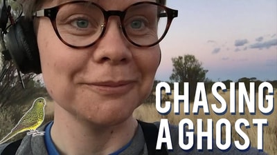 ABC Radio presenter Ann Jones. Chasing a ghost.