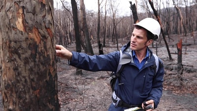 Ecologist Matt Appleby surveys bushfire damage at Burrin Burrin Reserve.