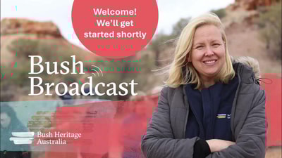 Bush Broadcast webinar with CEO Rachel Lowry.