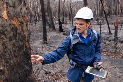 Bush Heritage ecologist Matt Appleby inspects a burned tree trunk standing in a bare, bushfire-blackened forest at Burrin Burrin Reserve.