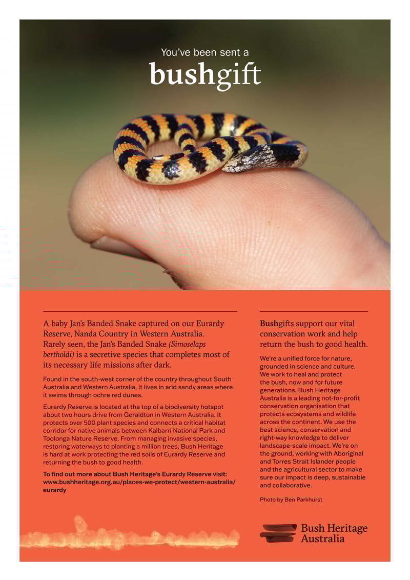 23 Jans Banded Snake PDF