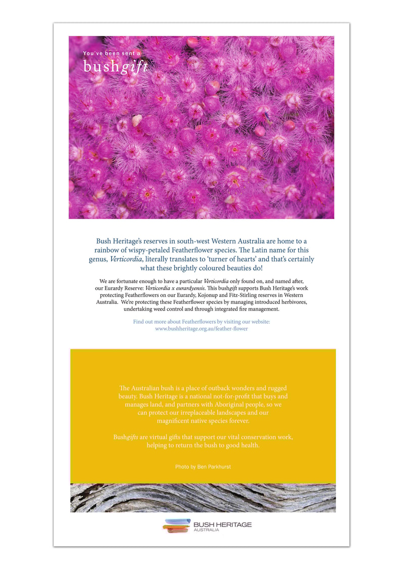 Feather flower pdf