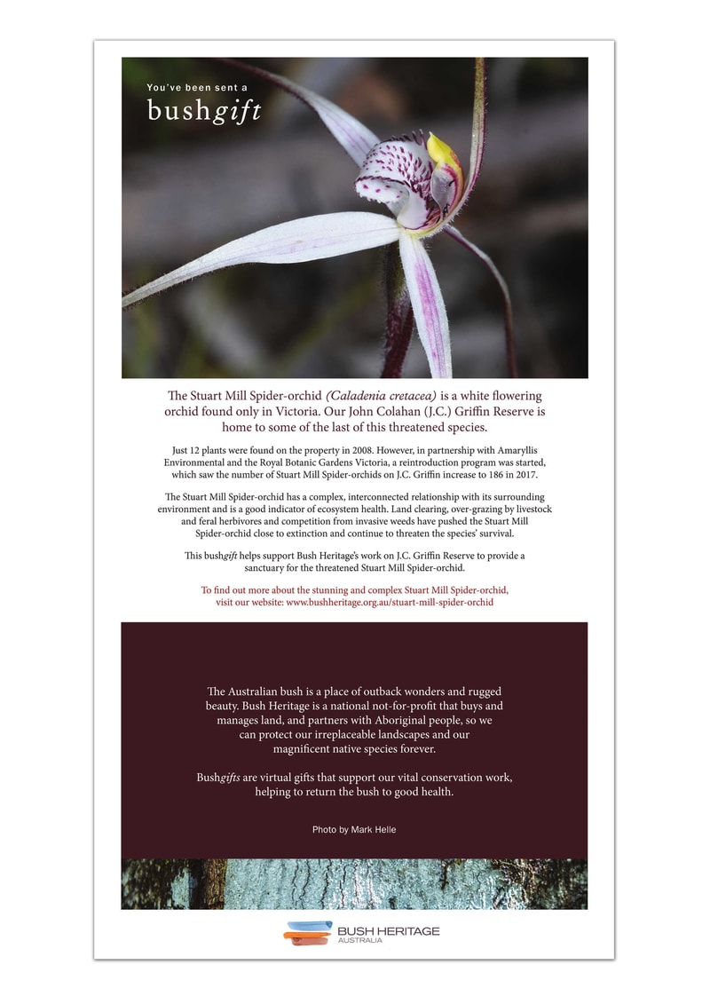 Orchid gift pdf