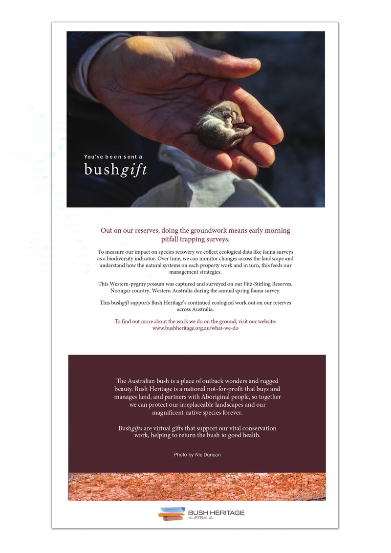 Fauna survey pdf card
