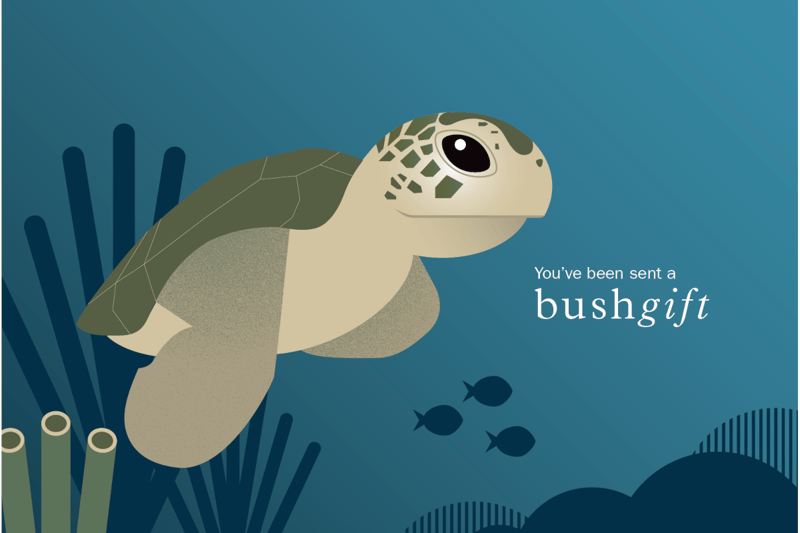 Sea Turtle Gift Card.
