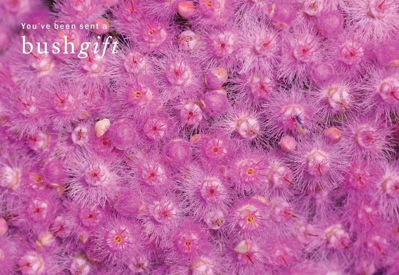 Feather flower og image