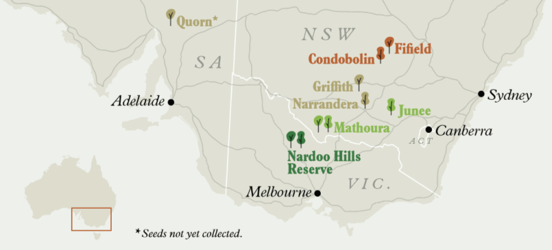 Map of locations in Victoria where seeds were sourced