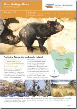 Autumn 2009 newsletter