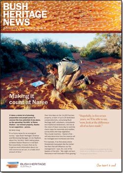 Autumn 2013 newsletter