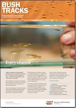 Spring 2014 newsletter