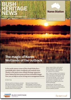 Summer 2012 newsletter
