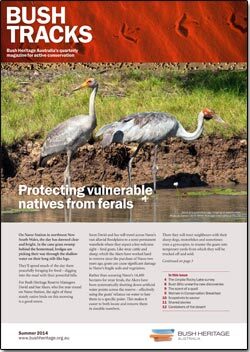 Summer 2014 newsletter