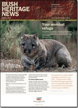 Winter 2012 newsletter