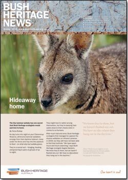 Winter 2013 newsletter